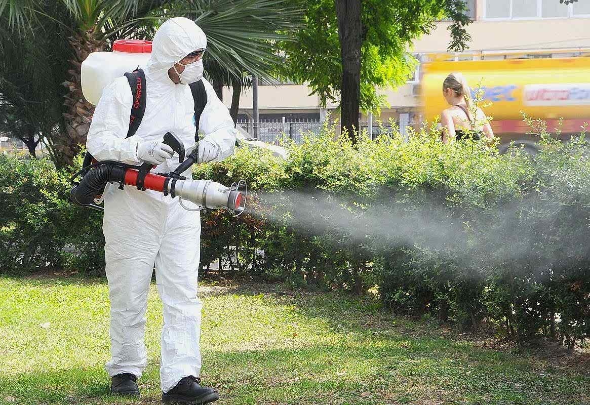 Bakı Yılan İlaçlama Nasıl Yapılır