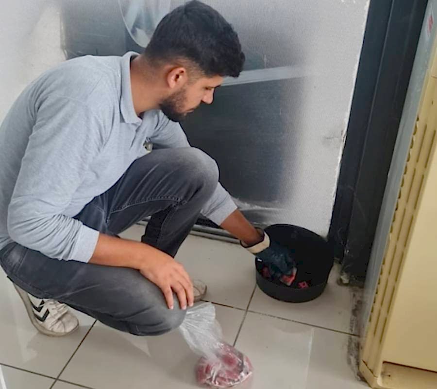 Bakı Fare İlaçlama Hizmeti