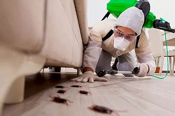 Hamam Böceği İlaçlama Nasıl Yapılır?
