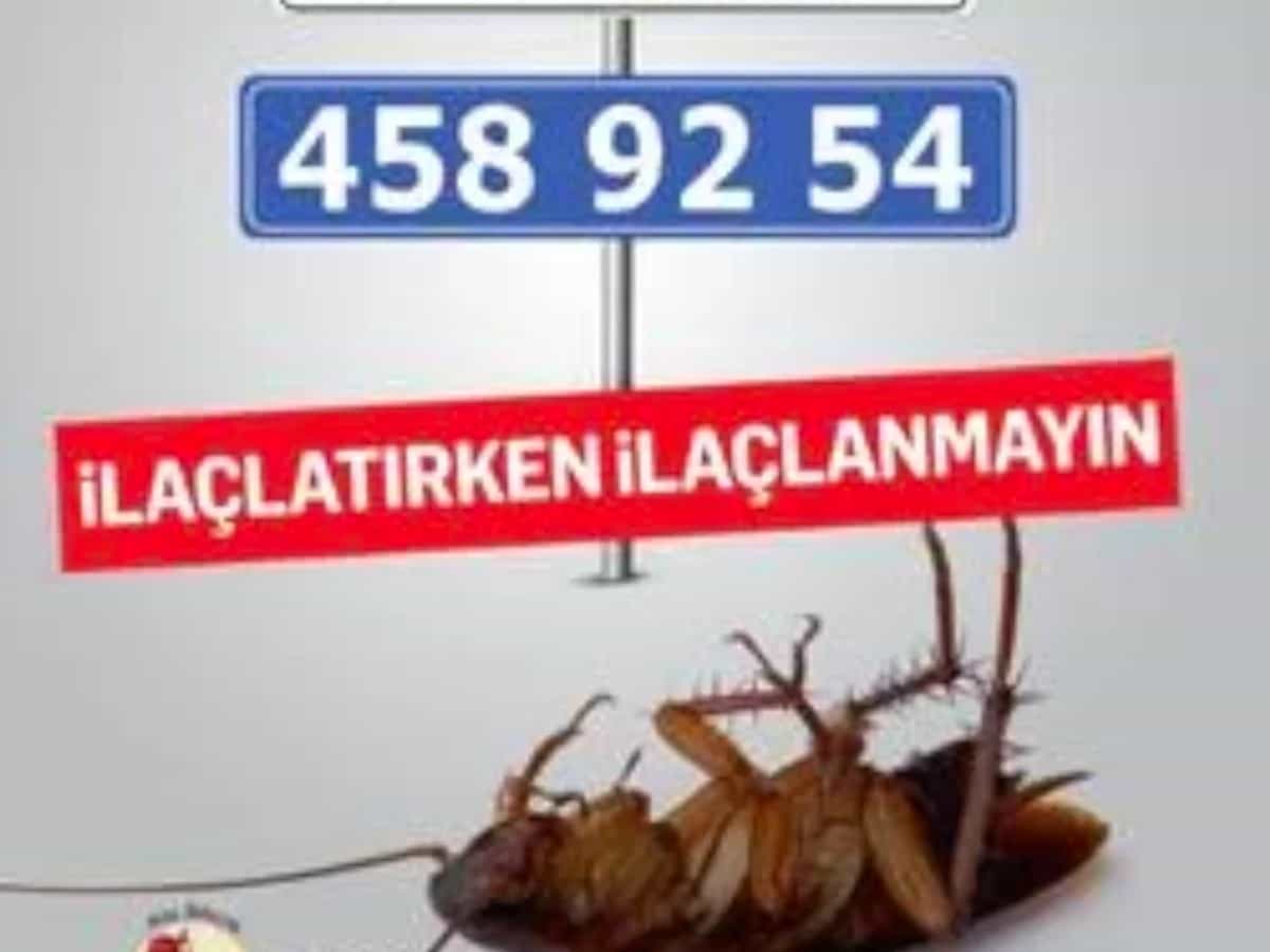 Sarıçam böcek ilaçlama